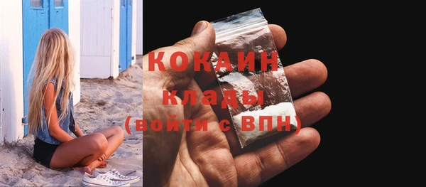 молекула духа Переславль-Залесский