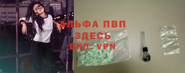 молекула духа Переславль-Залесский