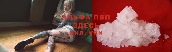 ГАЛЛЮЦИНОГЕННЫЕ ГРИБЫ Горняк