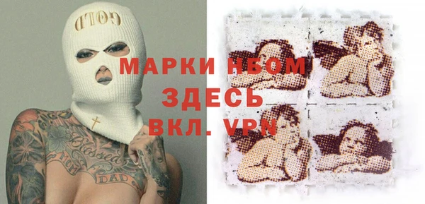 молекула духа Переславль-Залесский