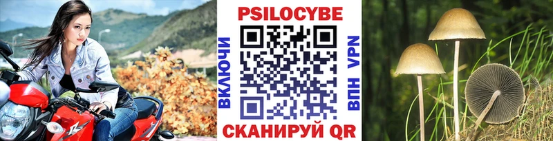 Галлюциногенные грибы MAGIC MUSHROOMS МЕГА зеркало Абинск